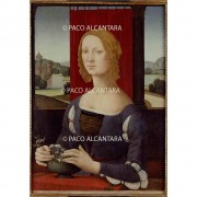 Supuesto retrato de Caterina Sforza