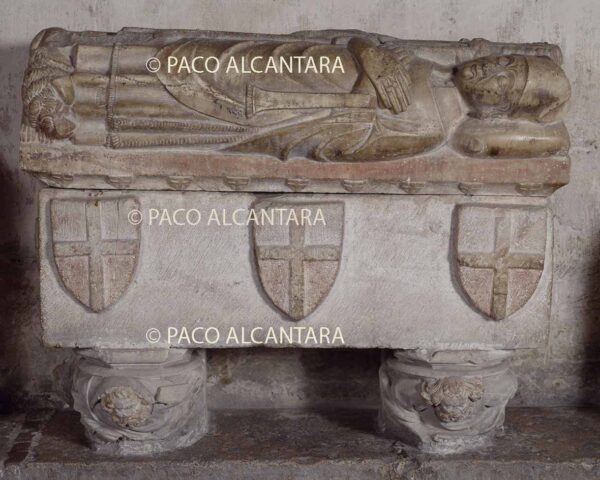 Sepulcro del obispo vidal de Planes.