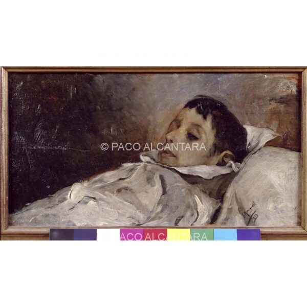 3553-Pintura-1893