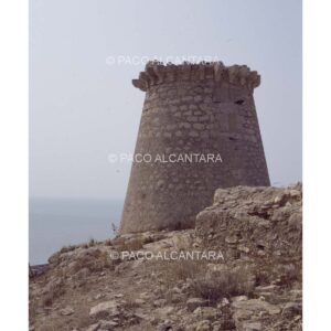 3796-Arquitectura-Torre de Escaletes