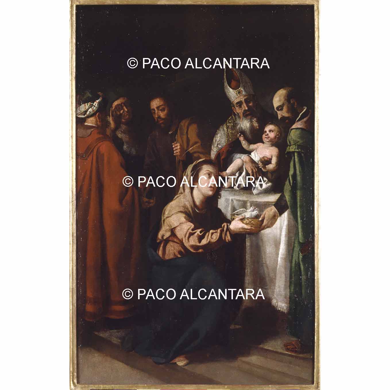 4629-Pintura-Presentación del Niño Jesús al templo 4629-Pintura-Presentación del Niño Jesús al templo