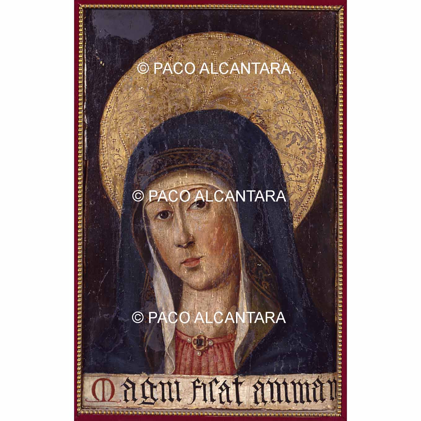 4630-Pintura-Verónica de la Virgen 4630-Pintura-Verónica de la Virgen