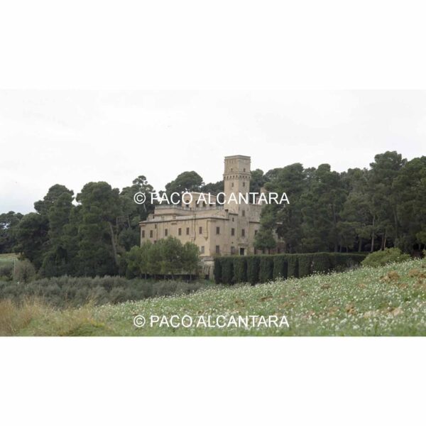 4674-Arquitectura-Castillo