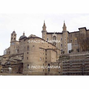 4680-Arquitectura-Palacio Ducal