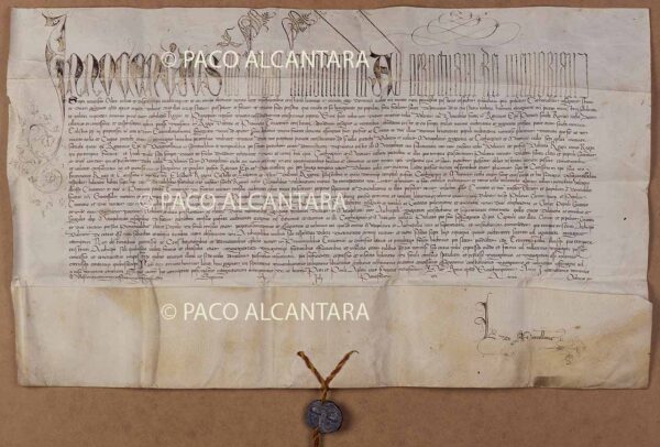 Documento de la erección de la Metrópoli de Valencia.